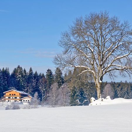 Landhotel Moorhof Neuschönau المظهر الخارجي الصورة